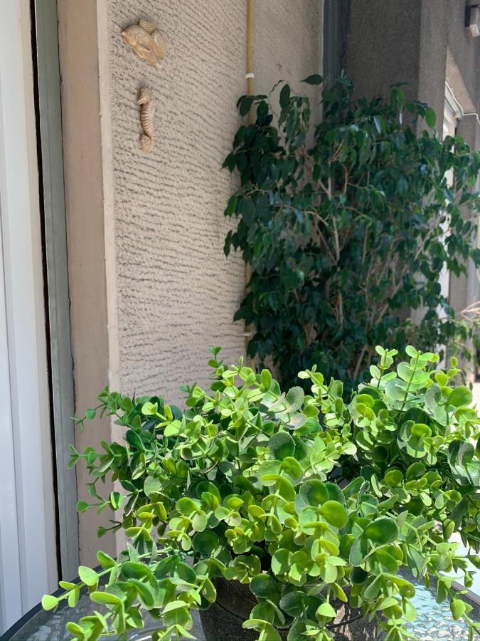 瑞沃缇德卫城附近舒适公寓 雅典 外观 照片